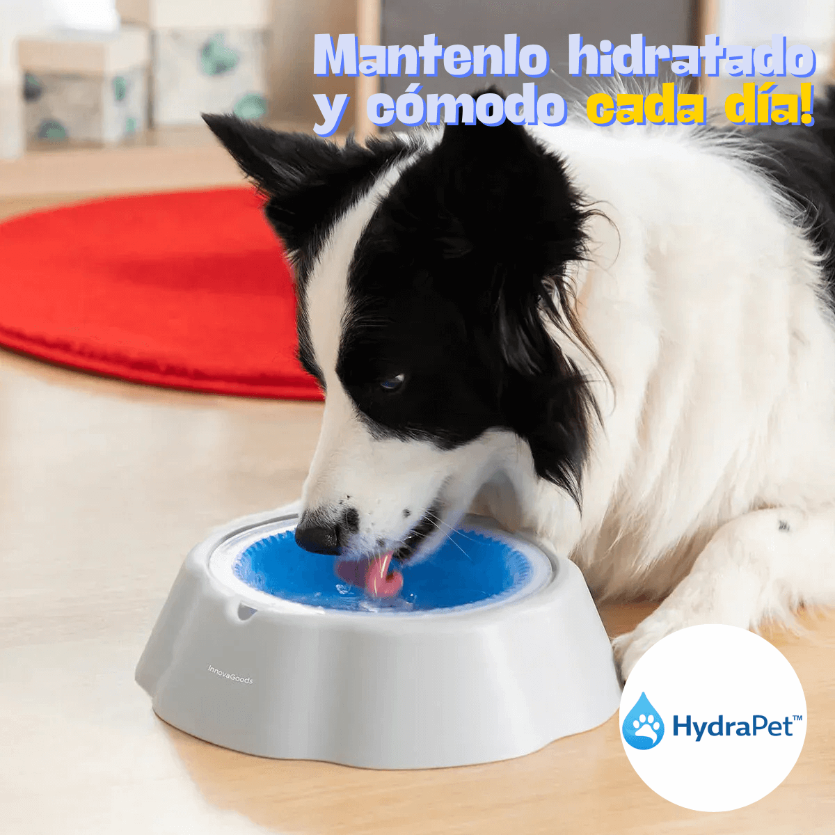 HydraPet™ Bowl 30%OFF + REGALO Mat Alimentación